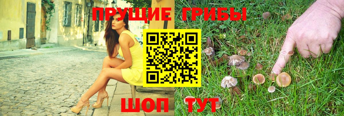 Галлюциногенные грибы Psilocybe Кыштым